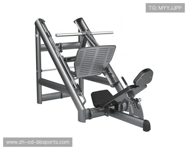 健身房常见健身器材类型及训练针对部位