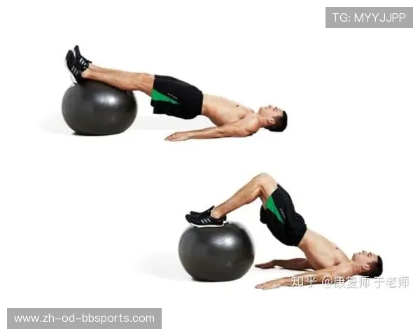 高拉力训练器如何改善姿势与提高肌肉力量